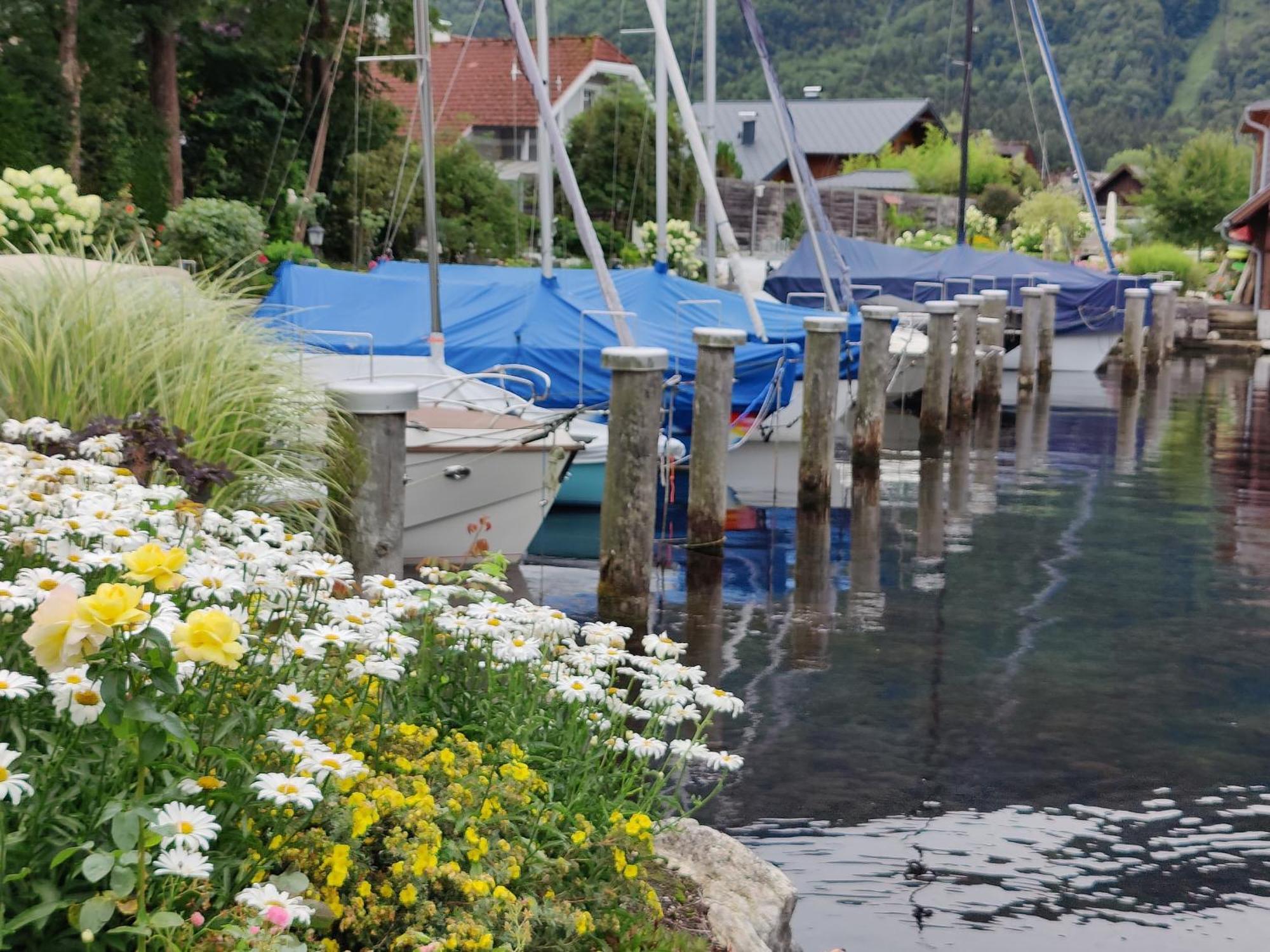 Wohnen Am See Villa Schroetter Direkt Am Traunsee Rindbach Dış mekan fotoğraf