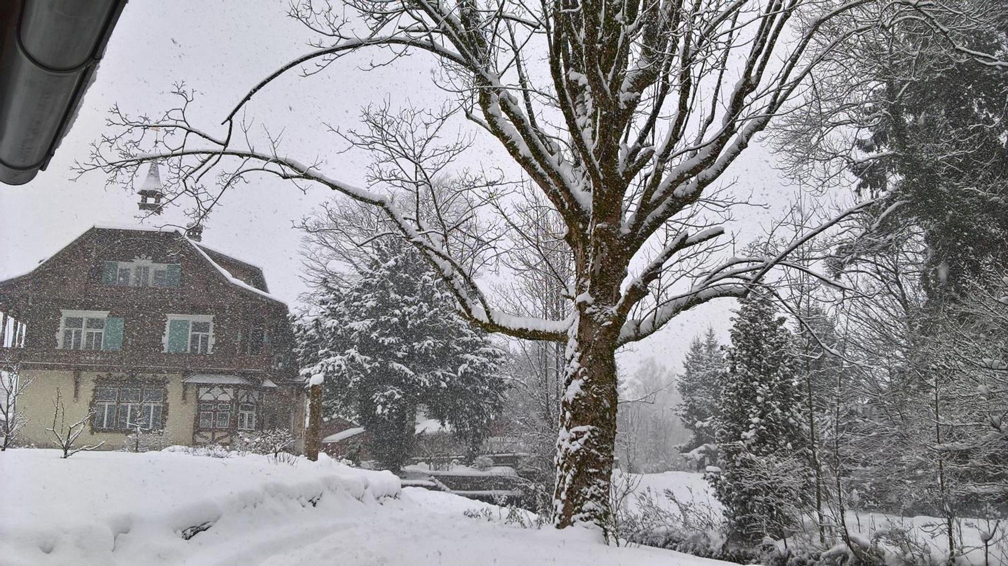Wohnen Am See Villa Schroetter Direkt Am Traunsee Rindbach Dış mekan fotoğraf